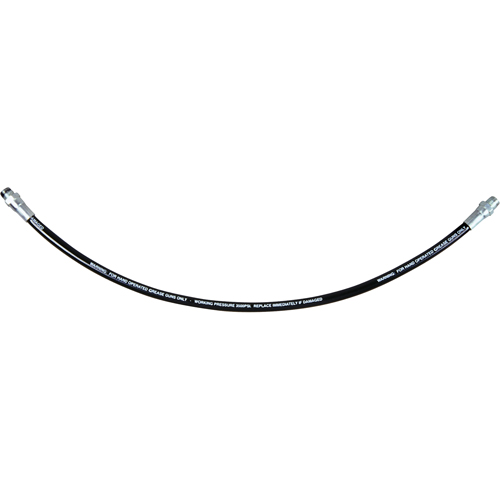 Tuyau graisseur flexible, 12" lo Toolneeds Inc.