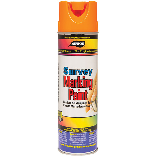 Peinture de marquage &agrave; base de solvant, 17 oz, Canette a&eacute;rosol Toolneeds Inc.