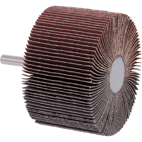 Mounted Flap Wheel, A80 Grit, 3" x 2" x 1/4" Toolneeds Inc.