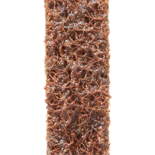 Courroies de traitement des surfaces Scotch-Brite Toolneeds Inc.