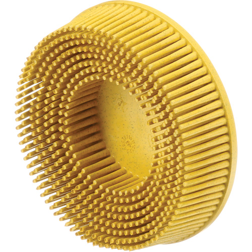 Disques &agrave; soies Roloc Scotch-Brite, Grain 80, 3" dia. Toolneeds Inc.