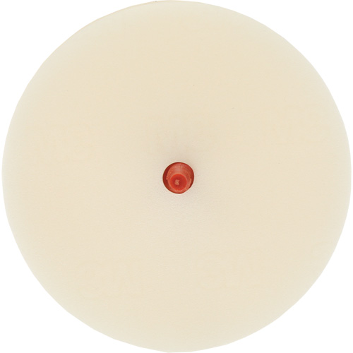 Scotch-Brite Moulding Adhesive & Stripe Removal Disc, 7501, 4" Dia. Toolneeds Inc.