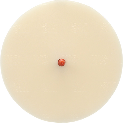 Disque Scotch-Brite 7502 pour retrait de colle et de bandes de moulage, 6" dia. Toolneeds Inc.