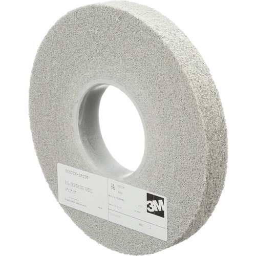Meules d'&eacute;barbage EXL Scotch-Brite, 8" x 1", Arbre de 3", Oxyde d'aluminium Toolneeds Inc.