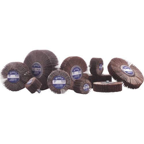 Flap Wheels - Mandrel Mounted Flap Wheels, Aluminum Oxide/Ceramic, 60 Grit, 1" x 1" x 1/4" Toolneeds Inc.