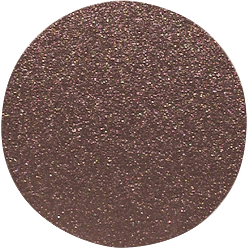 Wood Sanding Disc, 12" Dia., 60 Grit Toolneeds Inc.