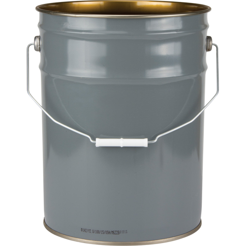 Lined Pail, Steel, 20 L Toolneeds Inc.