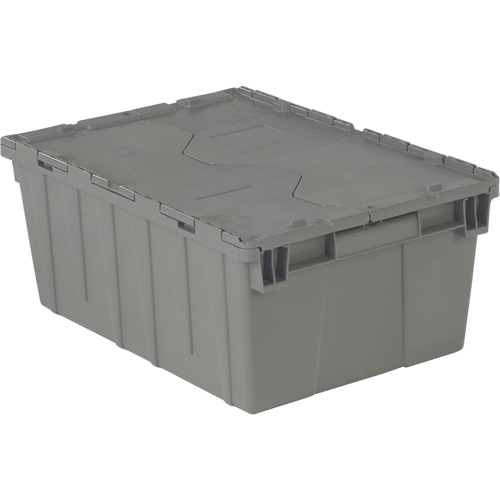 Contenants de distribution Flipak en plastique poly&eacute;thyl&egrave;ne (PE), 21,9" x 15,2" x 9,3", Gris Toolneeds Inc.