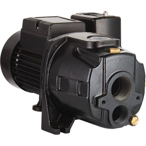 Dual Voltage Cast Iron Convertible Jet Pump, 115 V/230 V, 1100 GPH, 1/2 HP Toolneeds Inc.