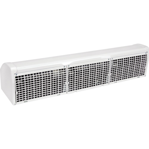 Rideau d'air avec t&eacute;l&eacute;commande, 2 vitesses Toolneeds Inc.