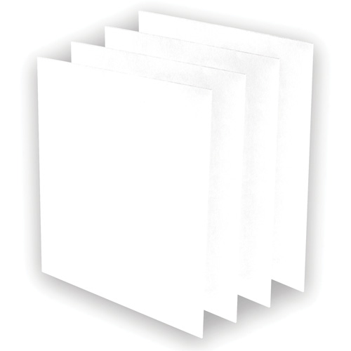 AeraMax&reg; Pro AM3 or AM4 Pre-Filters, 13.75" W x 0.13" D x 14.38" H Toolneeds Inc.