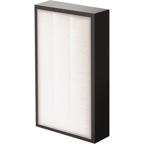 AeraMax&reg; Pro AM2 1-3/4" True HEPA Filter, Box, 7.38" W x 1.88" D x 12.88" H Toolneeds Inc.