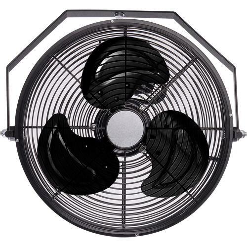 Ventilateur industriel pour poste de travail, Industriel, Dia 12", 3 vitesses Toolneeds Inc.
