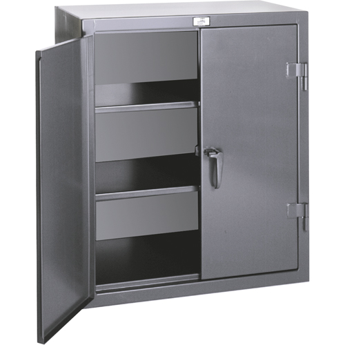 Counter Top Storage Cabinets, Steel, 2 Shelves, 36" H x 24" W x 20" D, Grey Toolneeds Inc.