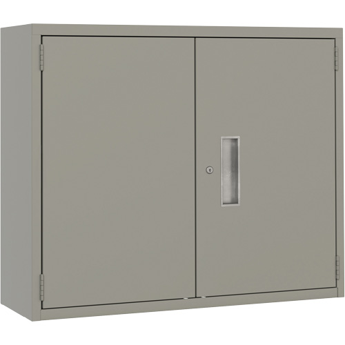 Armoire murale, Acier, 2 Tablettes, 30" h x 36" la x 12" P, Gris Toolneeds Inc.