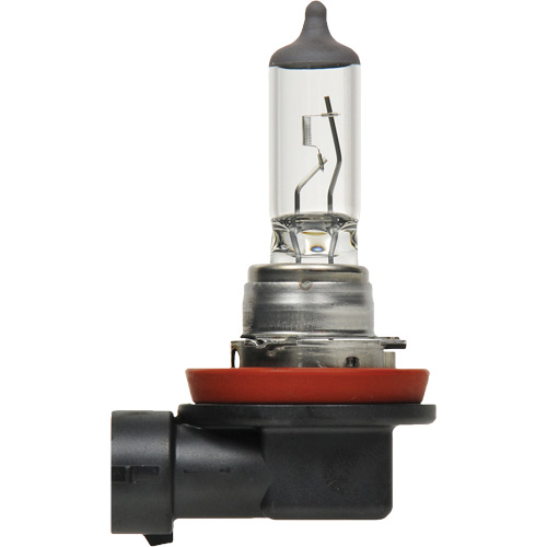 Ampoule de base pour feu avant H8, Halog&egrave;ne, 35 W, Blanc cass&eacute; Toolneeds Inc.