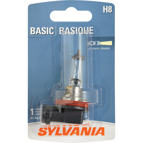 Ampoule de base pour feu avant H8, Halog&egrave;ne, 35 W, Blanc cass&eacute; Toolneeds Inc.