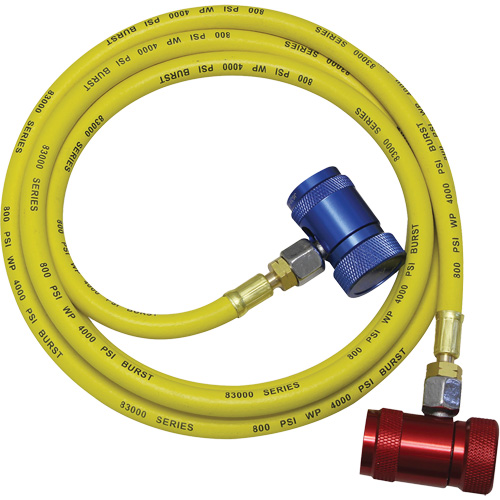 Ensemble flexible de rinçage pour syst&egrave;me de climatisation R1234yf Toolneeds Inc.
