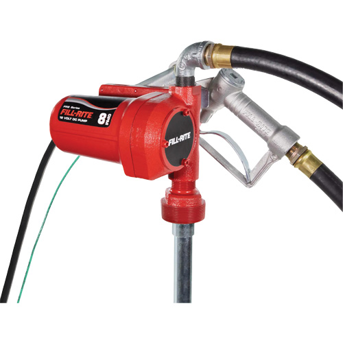 Pompe de transfert de carburant 12 V CC avec pistolet Toolneeds Inc.