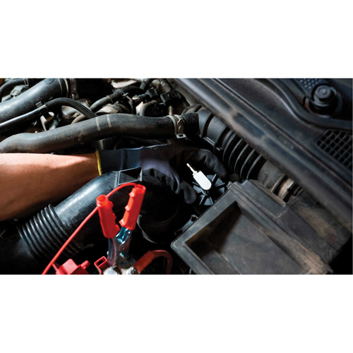 Pompette de purge de freins Brake-Pro &agrave; ch&acirc;ssis court avec adaptateurs Toolneeds Inc.