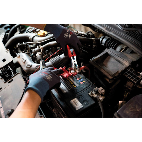 Tall Frame Brake-Pro Pressure Brake Bleeder with Adapters Toolneeds Inc.