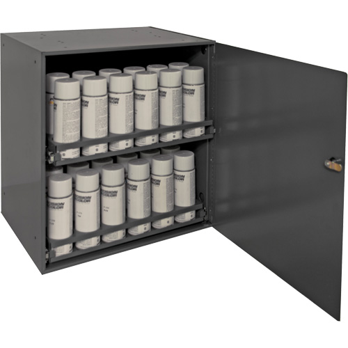 Aerosol Storage Cabinet, Steel, 21-7/8" H x 15-15/16" W x 20-5/16" D, Grey Toolneeds Inc.