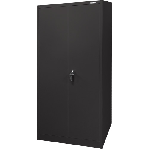 Armoire d'entreposage, Acier, 4 Tablettes, 66" h x 30" la x 15" P, Noir Toolneeds Inc.