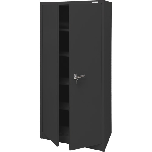 Armoire d'entreposage, Acier, 4 Tablettes, 66" h x 30" la x 15" P, Noir Toolneeds Inc.