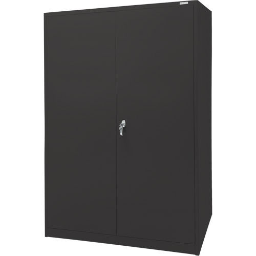 Storage Cabinet, Steel, 4 Shelves, 78" H x 48" W x 24" D, Black Toolneeds Inc.