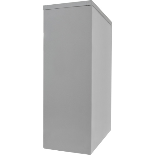 Counter-High Storage Cabinet, Steel, 2 Shelves, 42" H x 36" W x 24" D, Grey Toolneeds Inc.