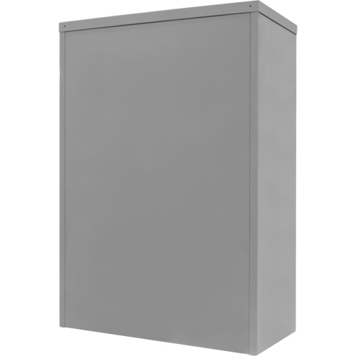 Counter-High Storage Cabinet, Steel, 2 Shelves, 42" H x 36" W x 24" D, Grey Toolneeds Inc.