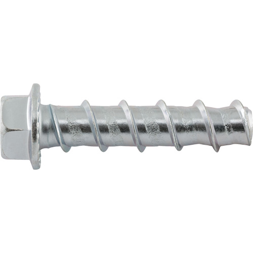 Wedge Bolts, Carbon Steel, 1/2" x 2-1/2" Toolneeds Inc.