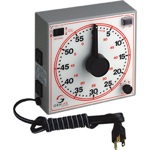 Dual Scale Timer Toolneeds Inc.