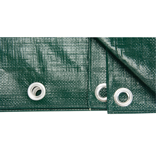 B&acirc;che, Robuste, Vert, 10' x 8' x 9 mils Toolneeds Inc.