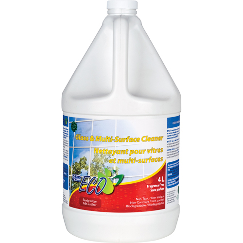 Glass & Multi-Surface Cleaners, 4 L, Jug Toolneeds Inc.