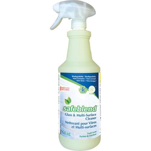 Nettoyant sans parfum pour verre & surfaces, 950 ml, Bouteille &agrave; g&acirc;chette Toolneeds Inc.