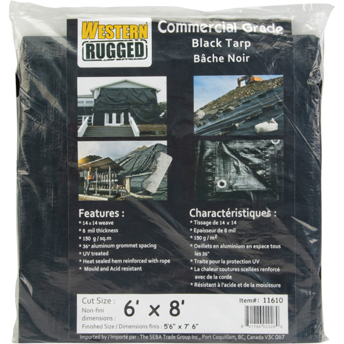 B&acirc;che, Usage industriel l&eacute;ger, Noir, 6' x 8' x 8 mils Toolneeds Inc.