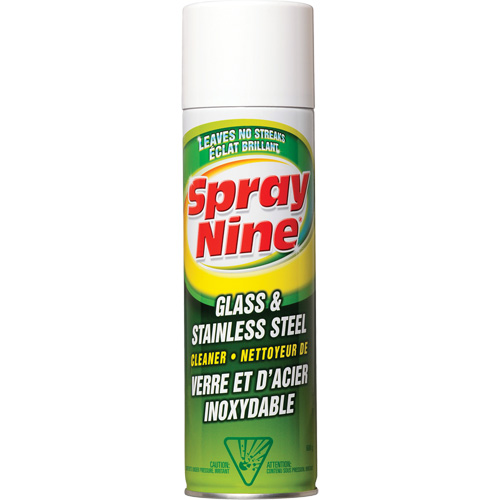 Glass & Stainless Cleaner, 600 g, Aerosol Can Toolneeds Inc.