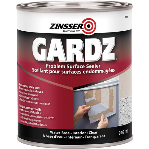 Scellant de surface &agrave; probl&egrave;mes Gardz, 3,61 L, Canette, Transparent Toolneeds Inc.