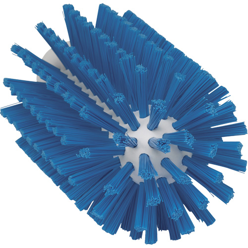 Food Hygiene Brush, Medium Bristles, 6" Long, Blue Toolneeds Inc.