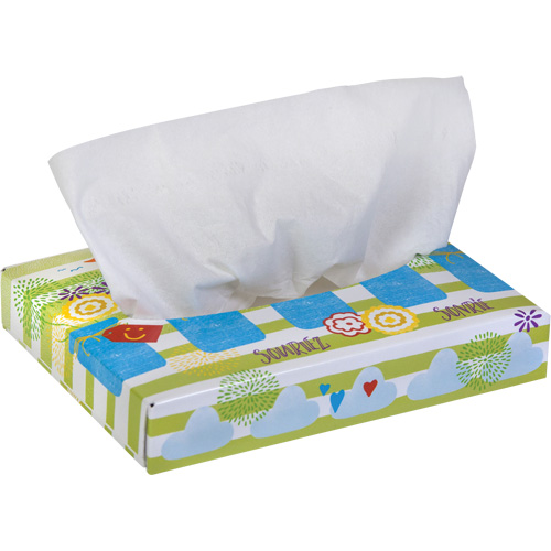 Papiers-mouchoirs pour enfants de Kleenex, 2 pli, 8,4" lo x 5,5" la, 40 feuilles/boîte Toolneeds Inc.