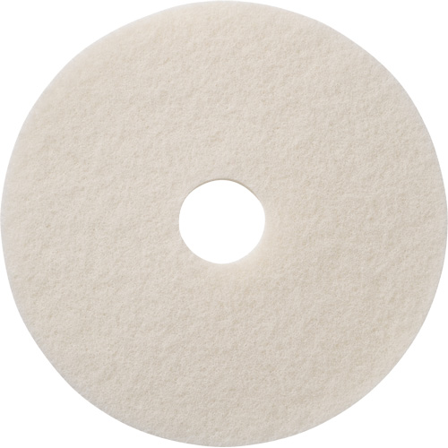 Tampons &agrave; polir pour planchers, 12", Polissage, Blanc Toolneeds Inc.