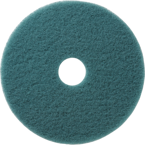 Tampons &agrave; polir pour planchers Aqua, 19", Brunissage, Aqua Toolneeds Inc.