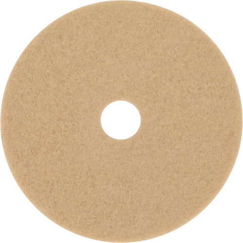 Trizact Diamond TZ Abrasive Strip, 20", Burnishing, Beige Toolneeds Inc.