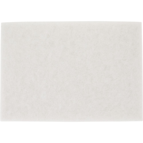 TopLine Speed Floor Pad, 14" x 20", Buffing/Cleaning/Polish, White Toolneeds Inc.