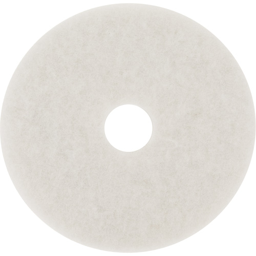 Floor Pad, 10", Buffing/Cleaning/Polish, White Toolneeds Inc.
