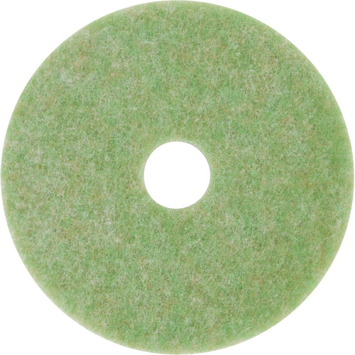 Natural Blend Pad, 12", Scrubbing, Green Toolneeds Inc.