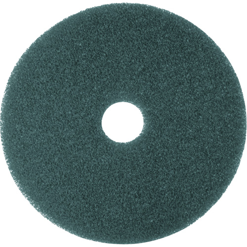 Hi-Performance Pad, 11", Cleaning/Scrubbing, Blue Toolneeds Inc.