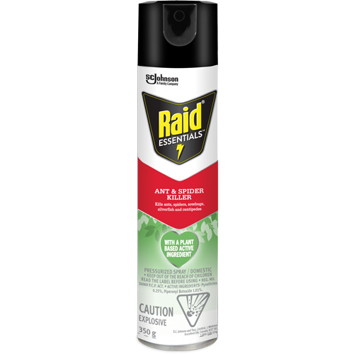 Raid&reg; Essentials Ant & Spider Killer, 350 g, Aerosol Can Toolneeds Inc.