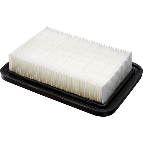 PTFE Membrane Main Filter, Foam, Fits 8 US gal. Toolneeds Inc.